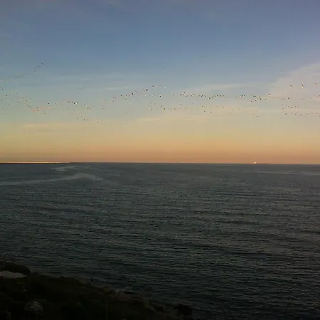 Vila Brandusa * Eforie Nord